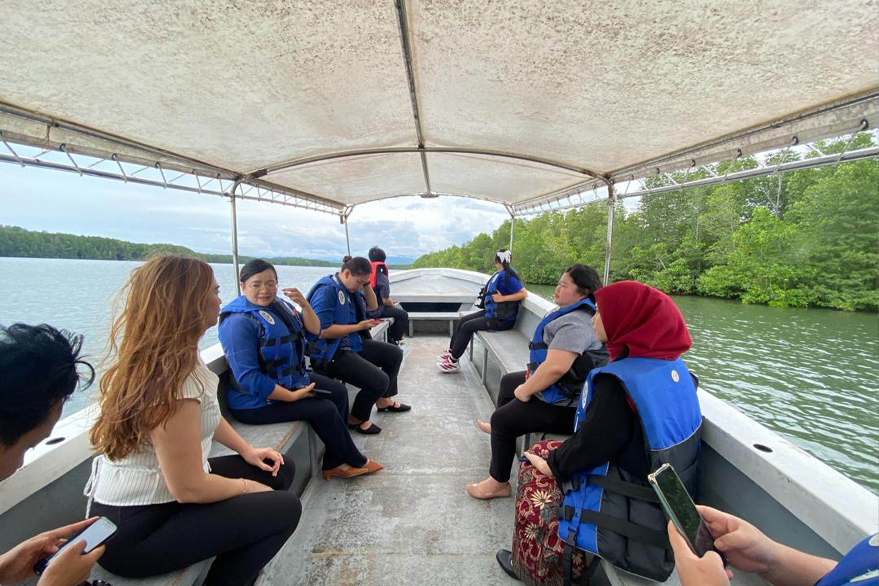 Mangrove Cruise
